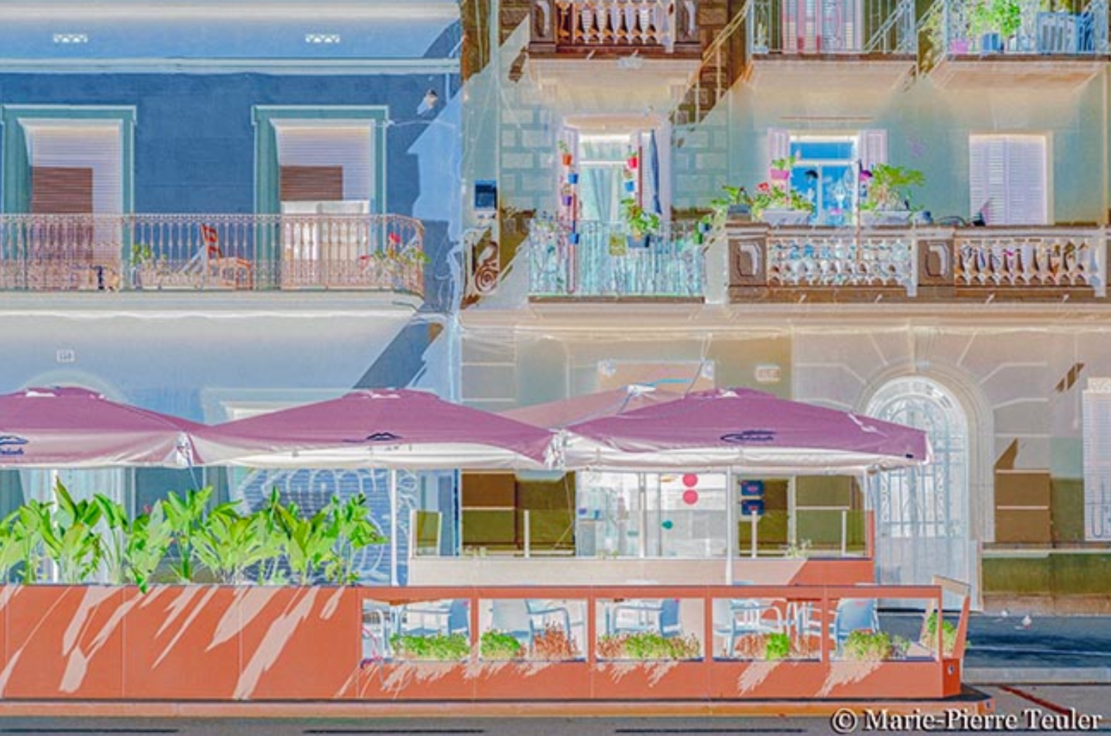 Marie-Pierre TeulerFotopintura